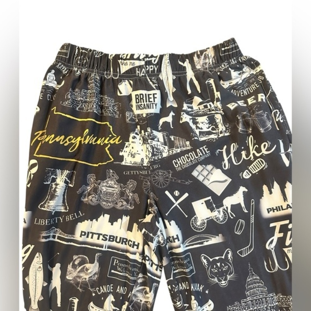 Brief Insanity Pajama Lounge Pants - Pennsylvania Theme - Football - Mens Small